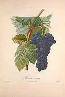  no thumbnail available