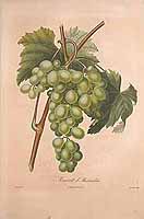  no thumbnail available