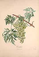  no thumbnail available