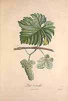  no thumbnail available