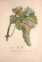  no thumbnail available