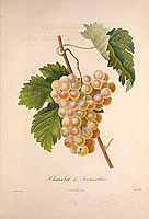  no thumbnail available