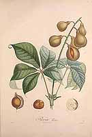  no thumbnail available