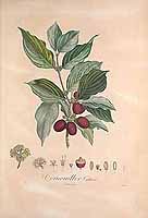  no thumbnail available