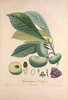  no thumbnail available