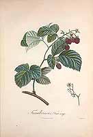  no thumbnail available