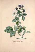  no thumbnail available