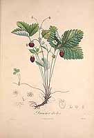  no thumbnail available