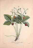  no thumbnail available