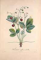  no thumbnail available