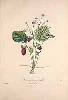  no thumbnail available