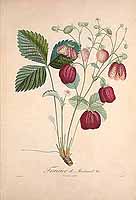  no thumbnail available