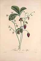  no thumbnail available