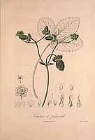  no thumbnail available