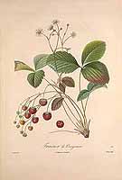  no thumbnail available