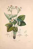  no thumbnail available