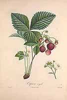  no thumbnail available