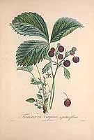  no thumbnail available