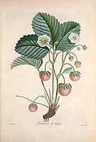  no thumbnail available