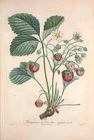  no thumbnail available