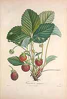  no thumbnail available