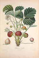  no thumbnail available