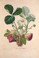  no thumbnail available