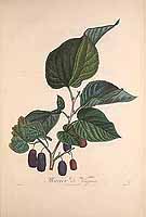  no thumbnail available