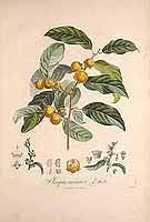  no thumbnail available