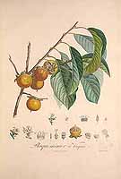  no thumbnail available