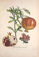  no thumbnail available