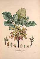  no thumbnail available