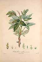  no thumbnail available