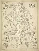  no thumbnail available