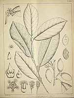  no thumbnail available