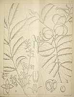  no thumbnail available