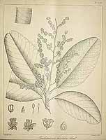  no thumbnail available