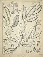  no thumbnail available