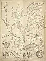  no thumbnail available