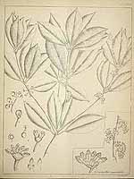  no thumbnail available