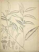  no thumbnail available