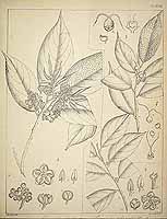  no thumbnail available