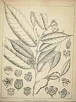  no thumbnail available