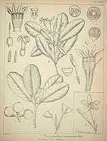  no thumbnail available