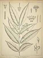  no thumbnail available