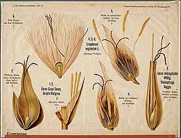  no thumbnail available