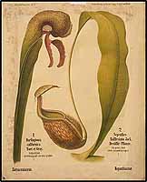  no thumbnail available