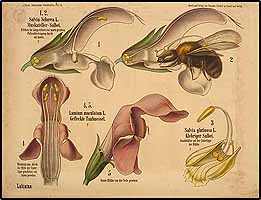  no thumbnail available