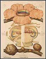  no thumbnail available