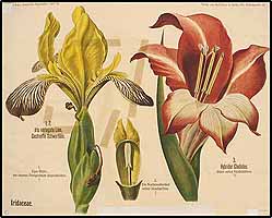  no thumbnail available